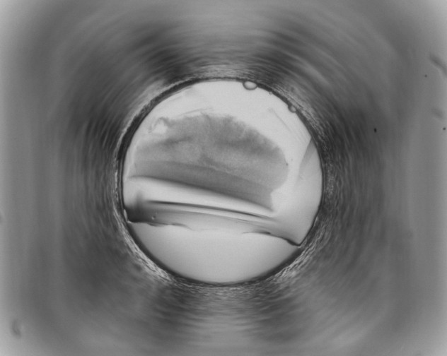 X0000097790992200803281719