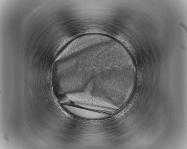 X0000097790993200803281719