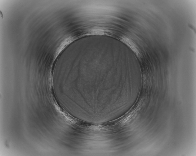 X0000097790994200803281719