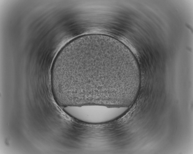X0000097790996200803281719