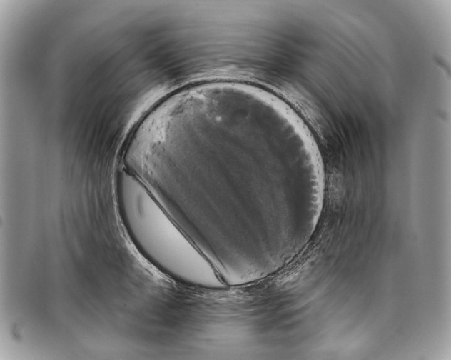 X0000097790998200803281719