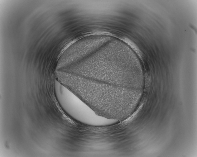 X0000097791001200803281719