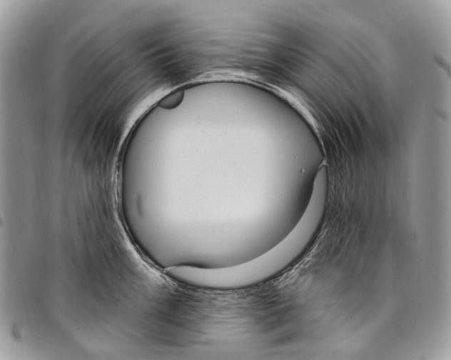 X0000097791003200803281719