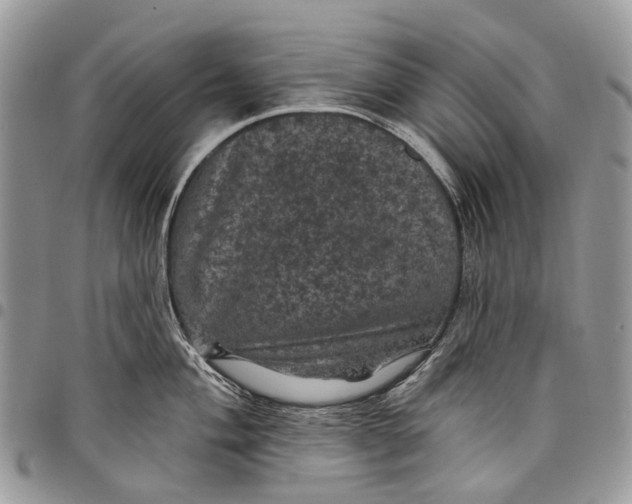 X0000097791004200803281719