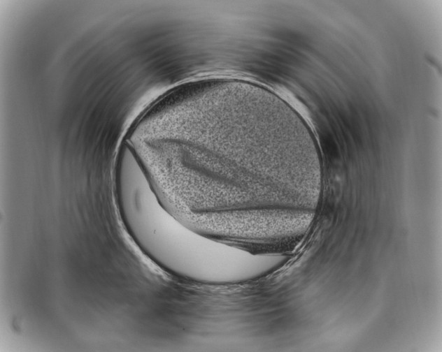 X0000097791005200803281719