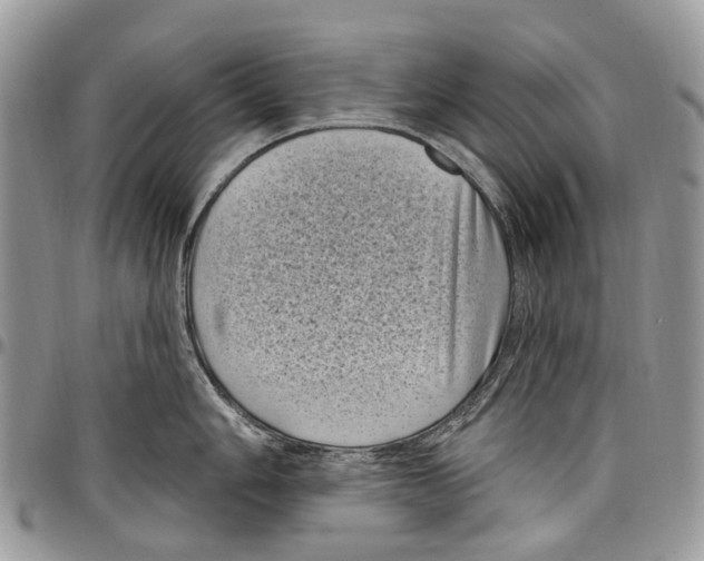 X0000097791006200803281719