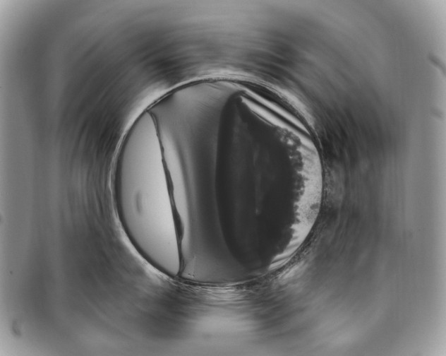 X0000097791007200803281719