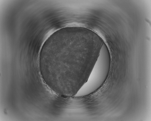 X0000097791008200803281719