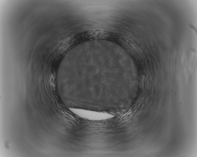 X0000097791010200803281718