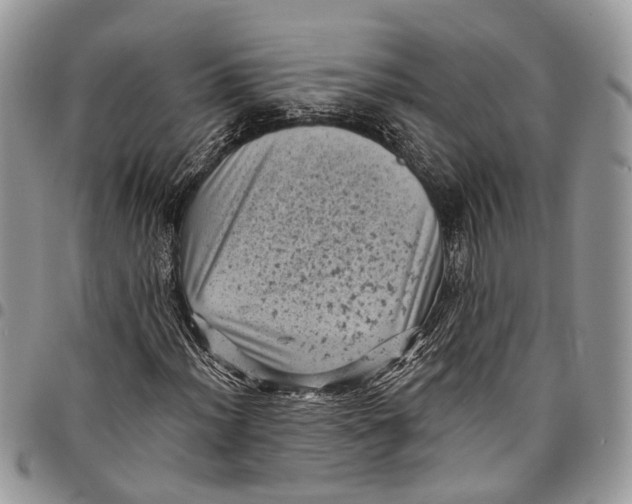 X0000097791012200803281718