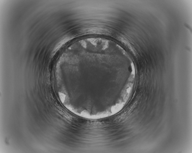 X0000097791019200803281718