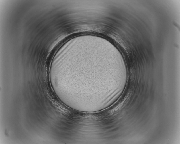 X0000097791021200803281719
