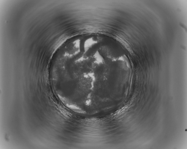 X0000097791023200803281719