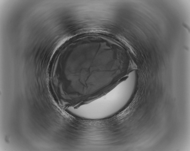 X0000097791024200803281719