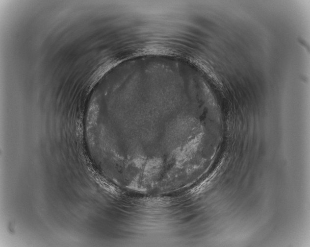 X0000097791025200803281719