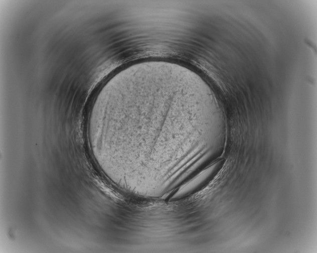 X0000097791026200803281719