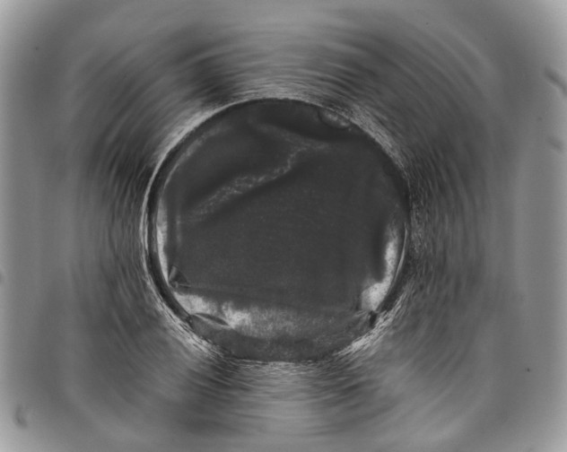 X0000097791028200803281719