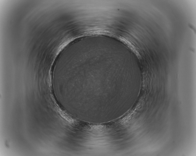 X0000097791031200803281719
