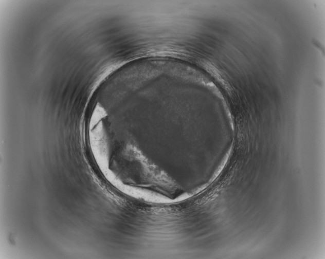 X0000097791032200803281719