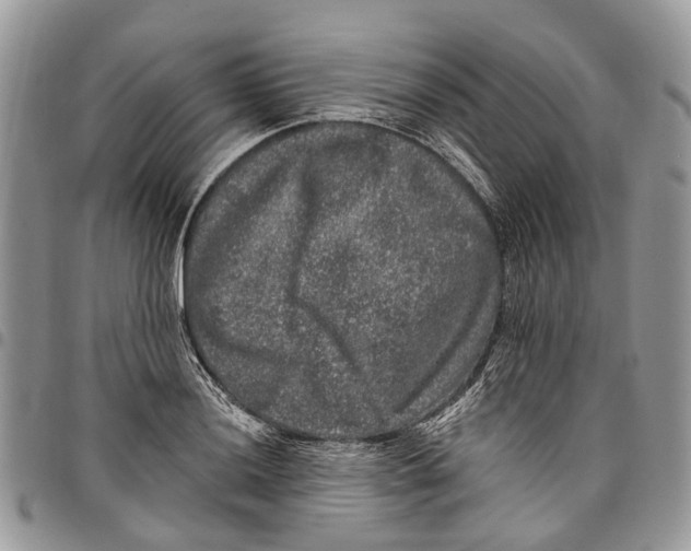 X0000097791036200803281719