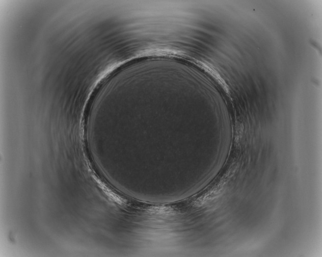 X0000097791037200803281719