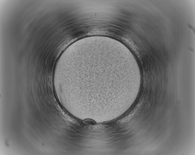 X0000097791041200803281719