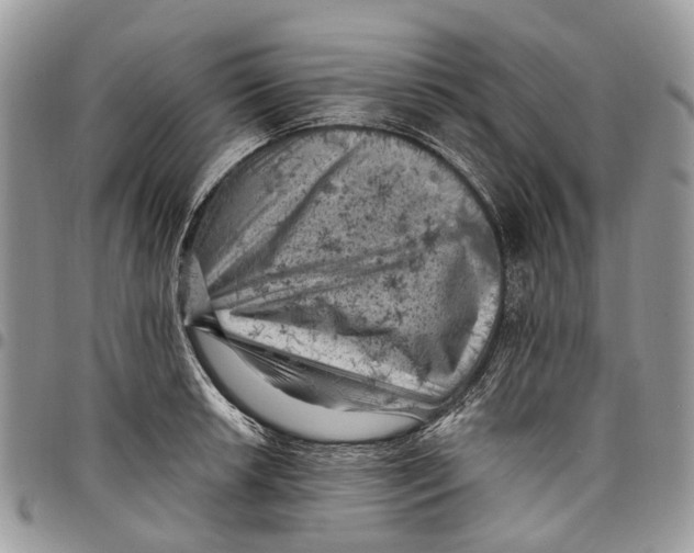 X0000097791042200803281719