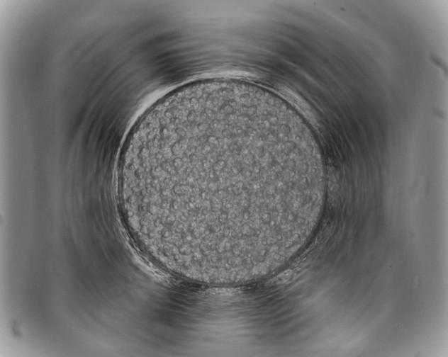 X0000097791044200803281719