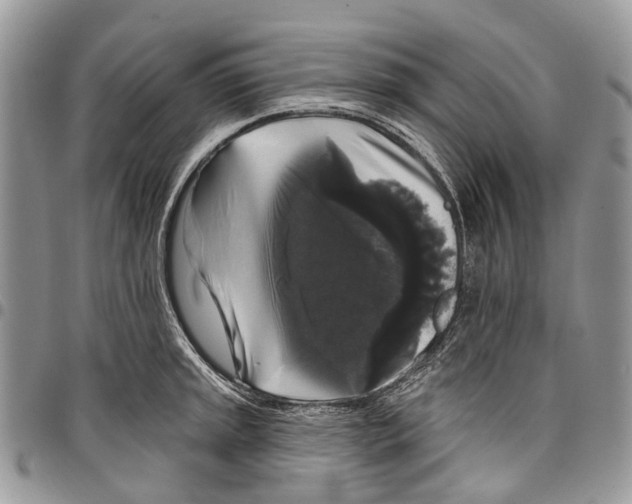 X0000097791045200803281719