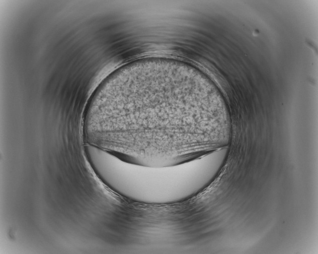 X0000097791050200803281719