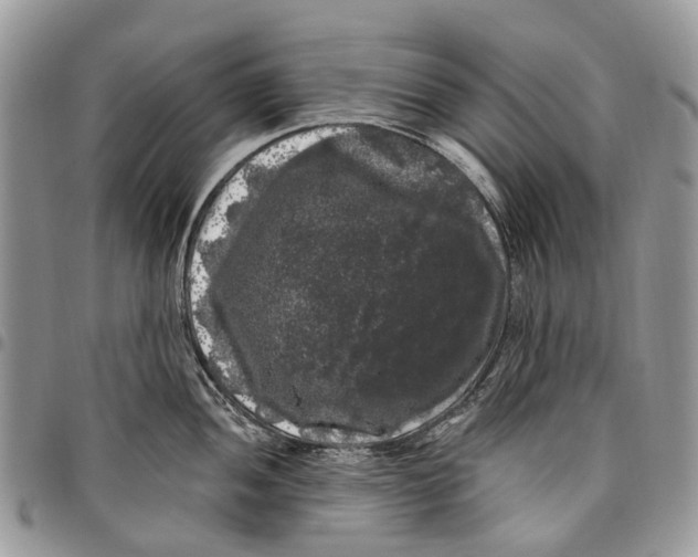 X0000097791052200803281719