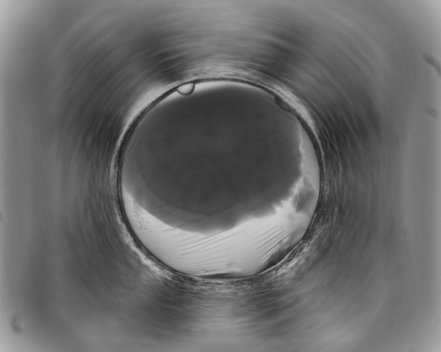 X0000097791053200803281719