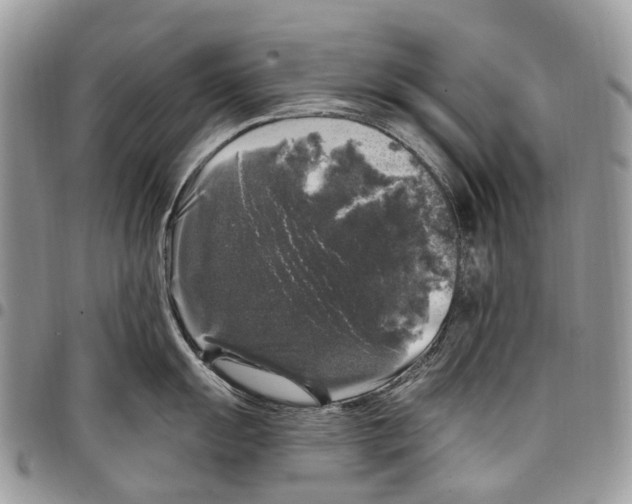 X0000097791055200803281719