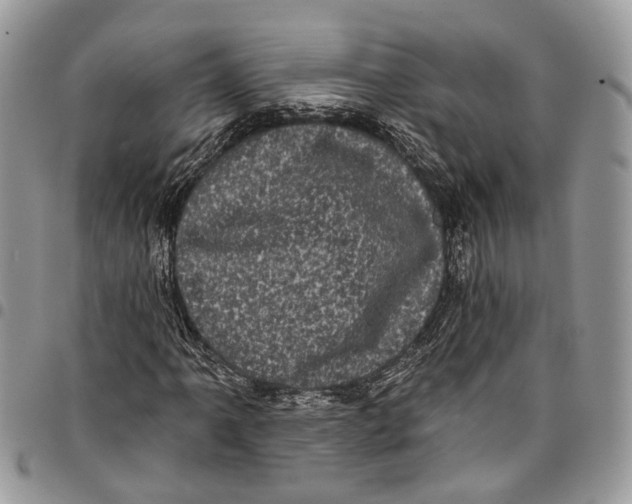 X0000097791061200803281718
