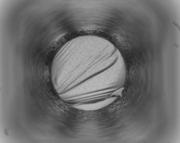 X0000097791062200803281718