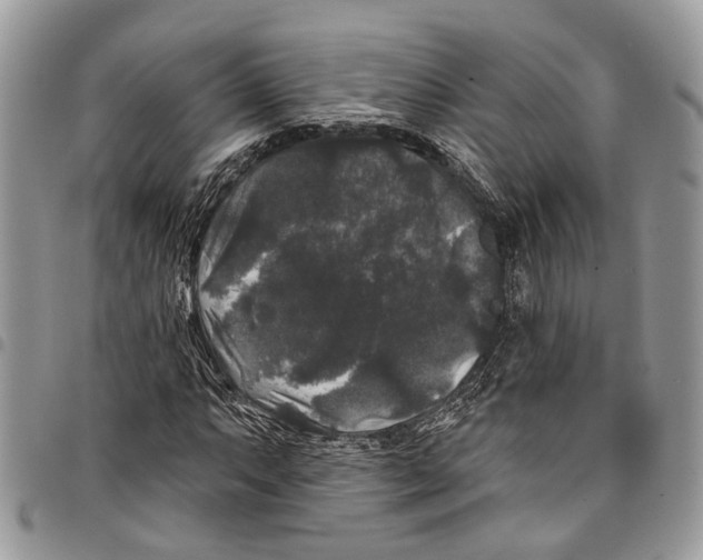X0000097791063200803281718