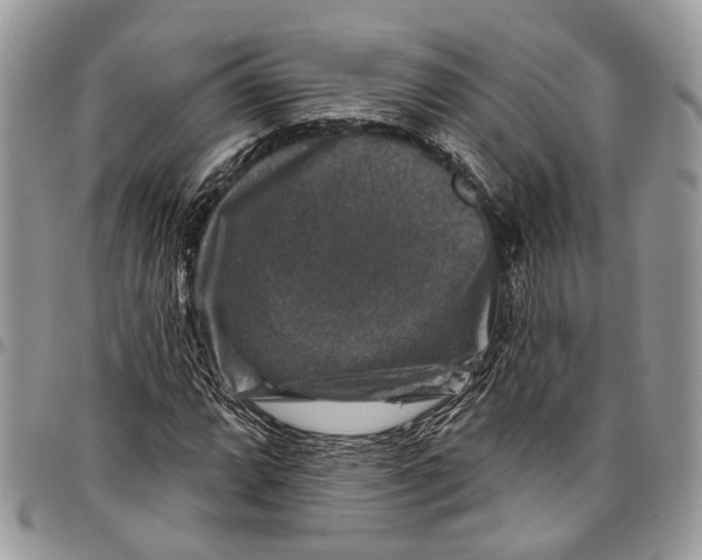 X0000097791064200803281718