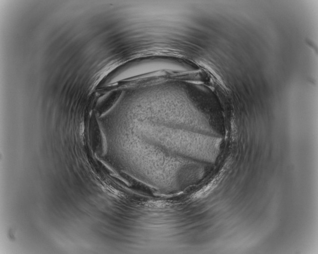 X0000097791065200803281718