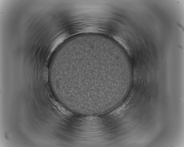X0000097791067200803281718