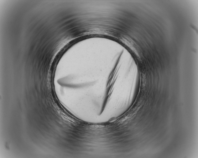 X0000097791068200803281718