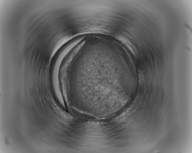 X0000097791069200803281718
