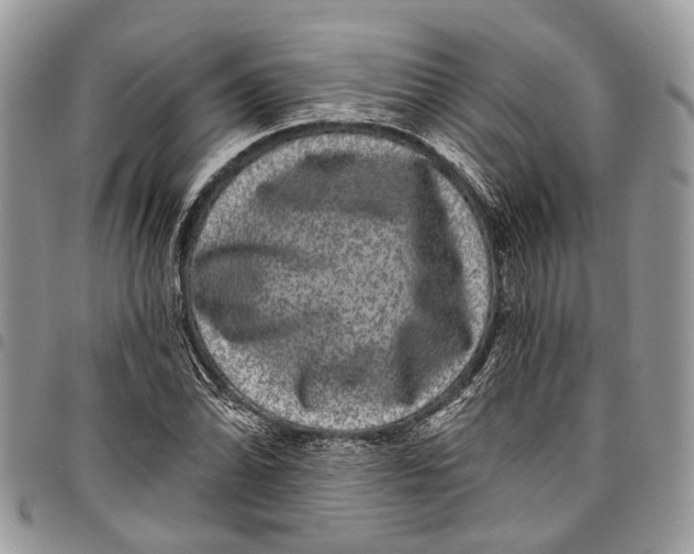 X0000097791070200803281718