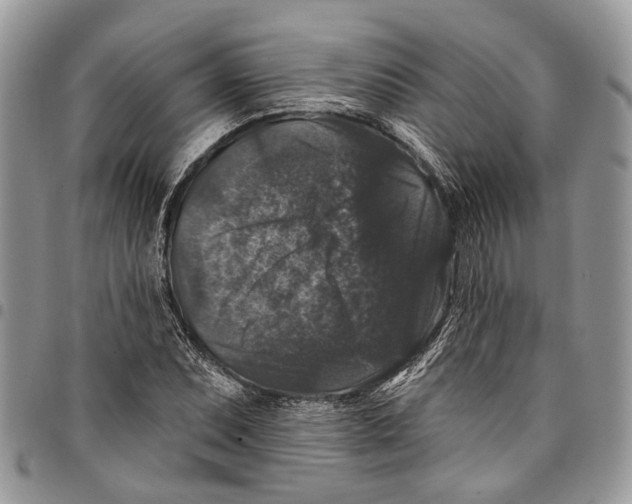 X0000097791071200803281718