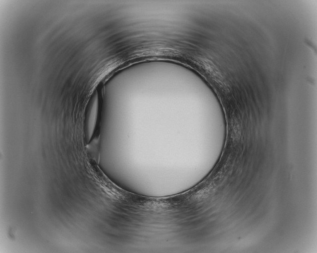 X0000097791073200803281718