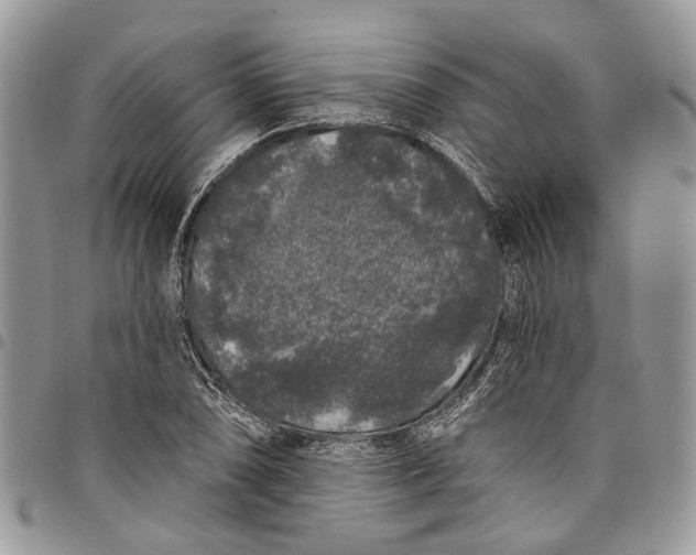 X0000097791074200803281718