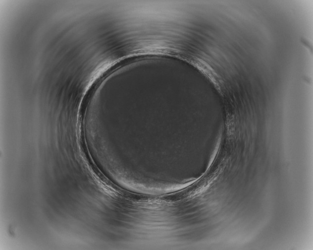 X0000097791077200803281718