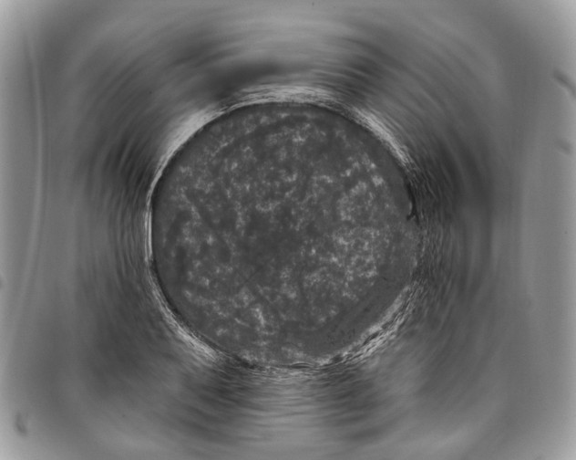 X0000097791079200803281718