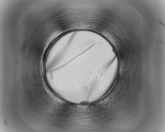 X0000097791080200803281718