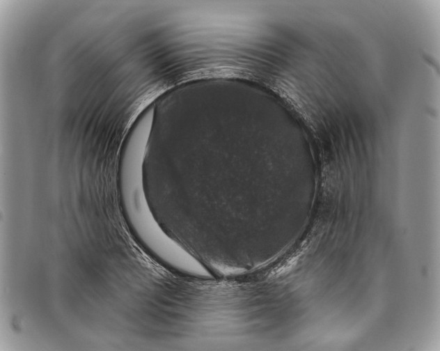 X0000097791081200803281718