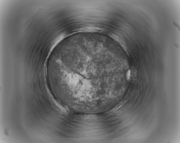 X0000097791083200803281718